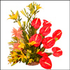 Fragrance of Love - Click here to View more details about this Product